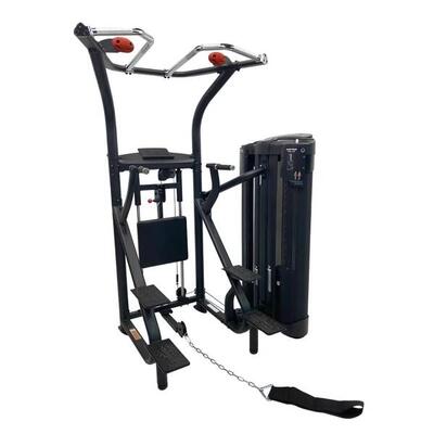 DUAL Station Chin Up
