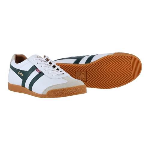 Sapatos de caminhada Gola Harrier Elite 2 para homem 2/5