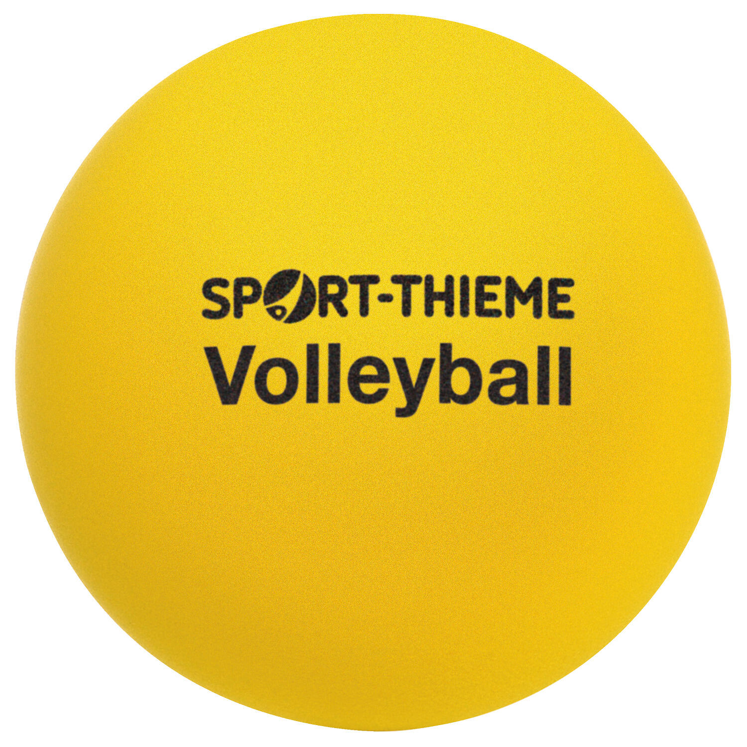 SPORT-THIEME picture