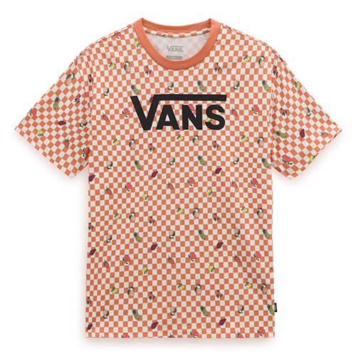 VANS picture