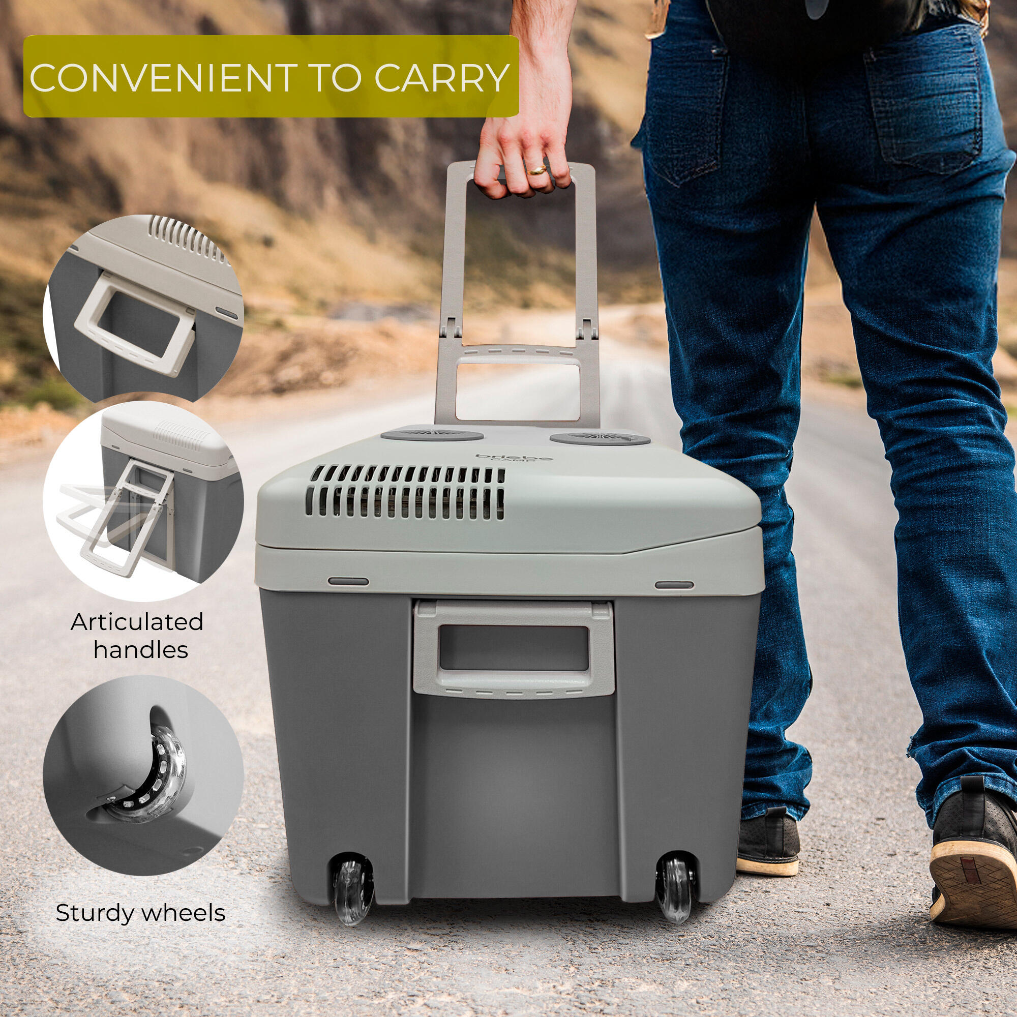 Elektrische Tragbare Khlbox 40L fr Camping und Auto 12V/220V Camper  briebe | Decathlon