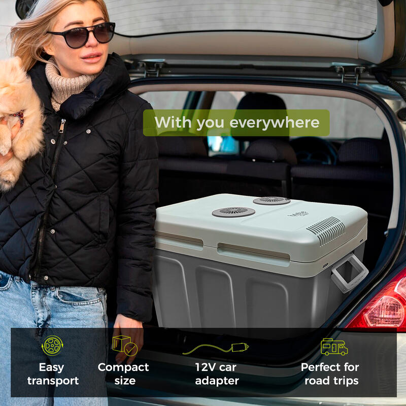 Réfrigérateur Portable Électrique 40L, Camping et Voiture 12V/220V Camper briebe