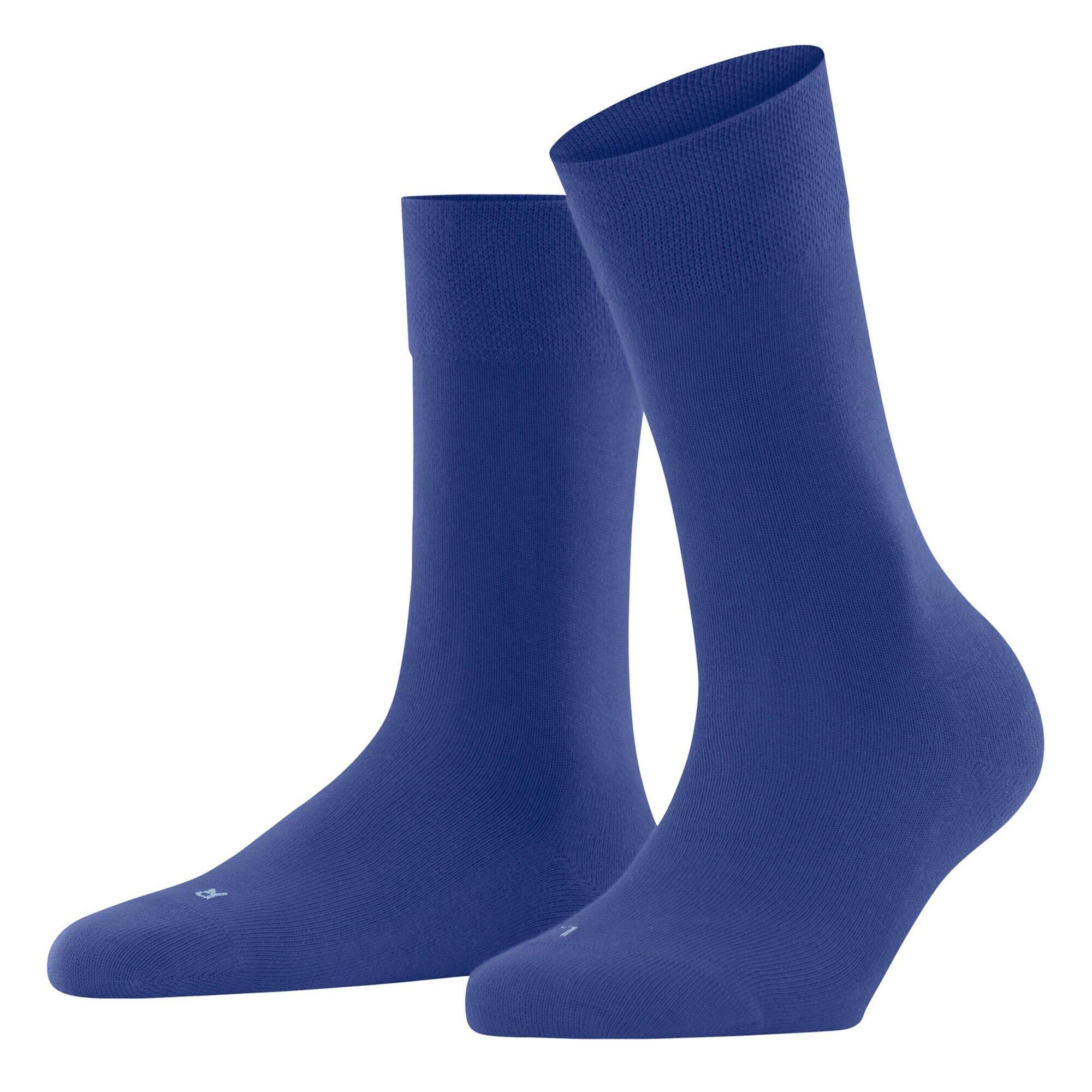 BLAU / BLAU