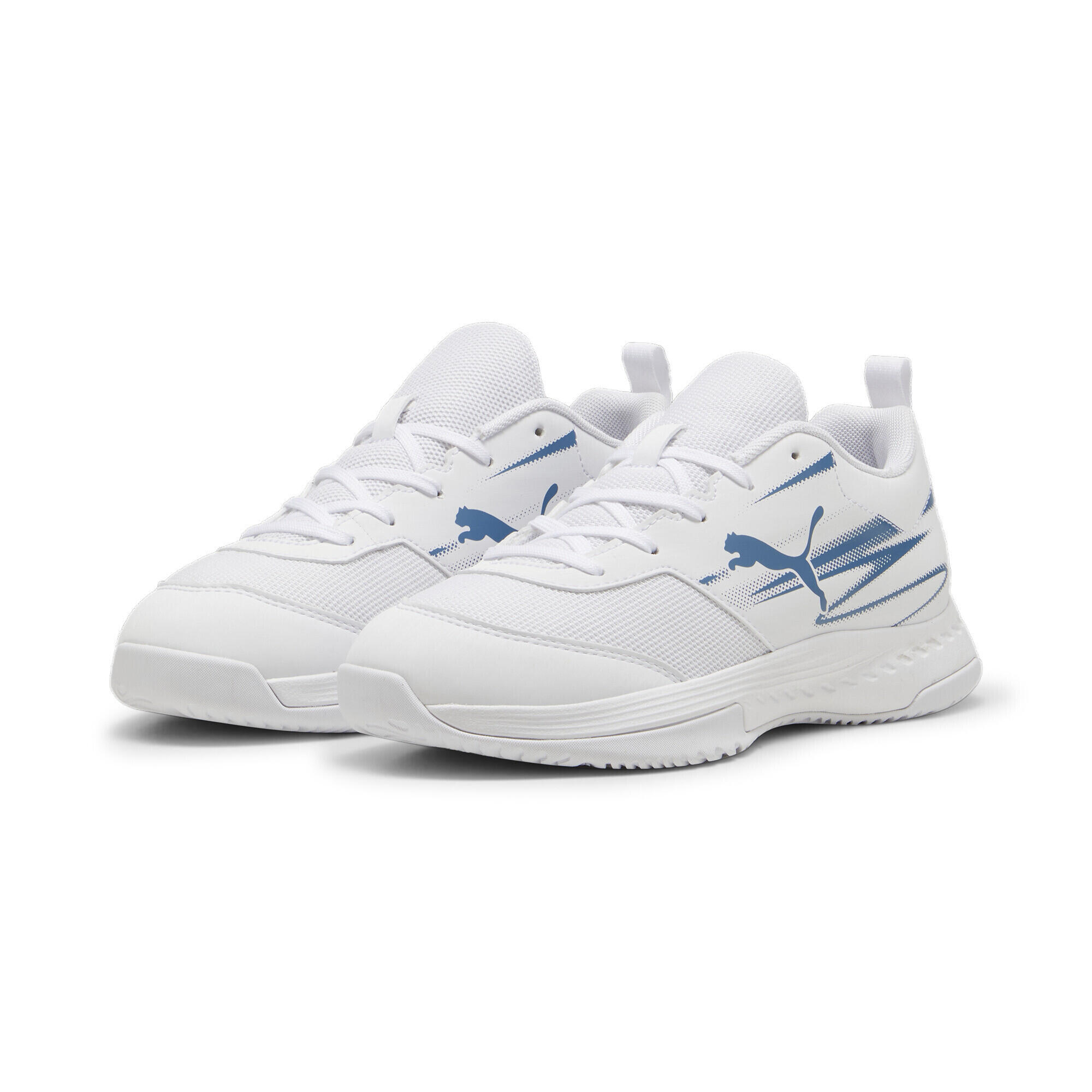 PUMA picture