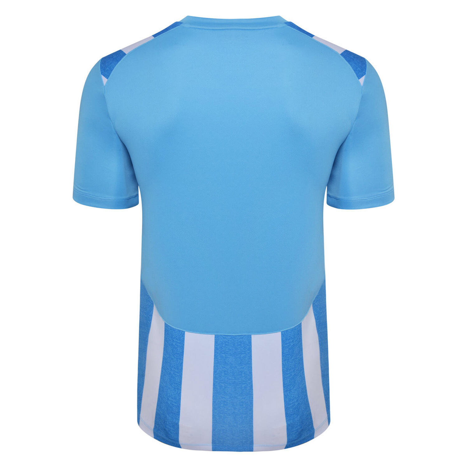 Childrens/Kids Ramones Jersey (Sky Blue/White) 2/4
