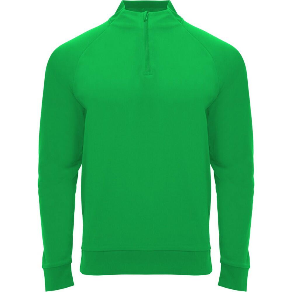 ROLY Unisex Adult Epiro Quarter Zip LongSleeved Sweatshirt (Fern Green)