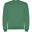 Hanorac Drumeții În Natură Roly Clasica Crew Neck Copii