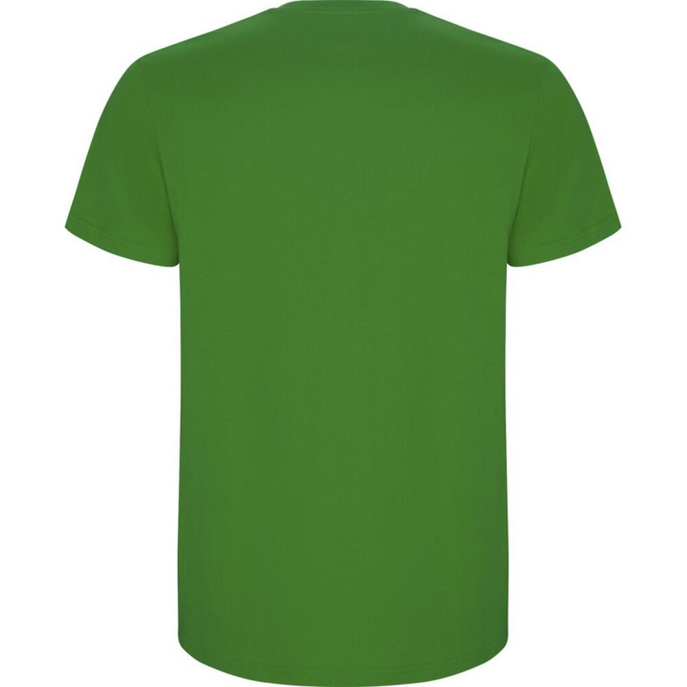 Maglietta Bambini Roly Stafford Verde Erba 2/4