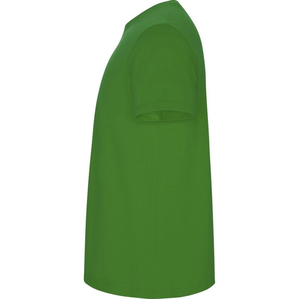 Maglietta Bambini Roly Stafford Verde Erba 3/4
