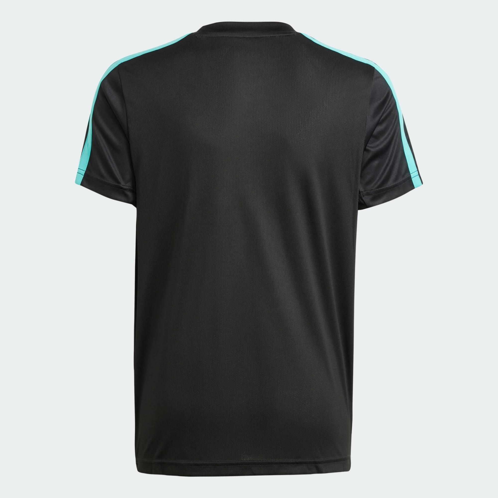 T-SHIRT MERCEDES - AMG PETRONAS FORMULA ONE TEAM DNA 4/5