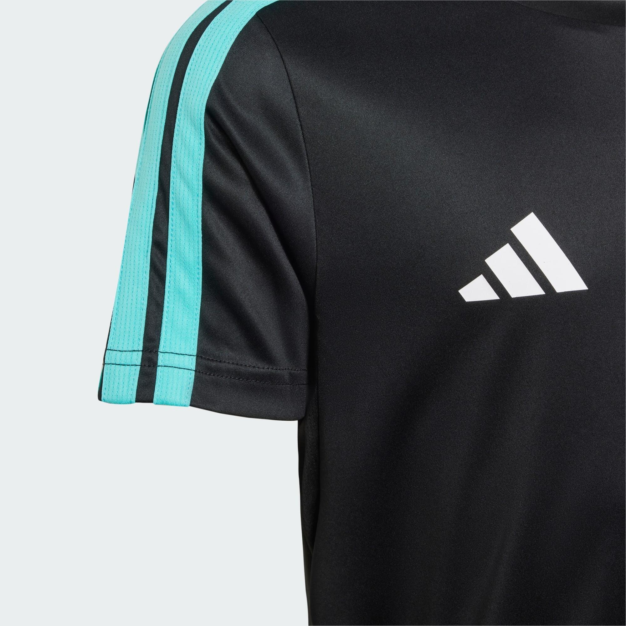 T-SHIRT MERCEDES - AMG PETRONAS FORMULA ONE TEAM DNA 3/5