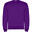 Hanorac Drumeții În Natură Roly Clasica Crew Neck Copii