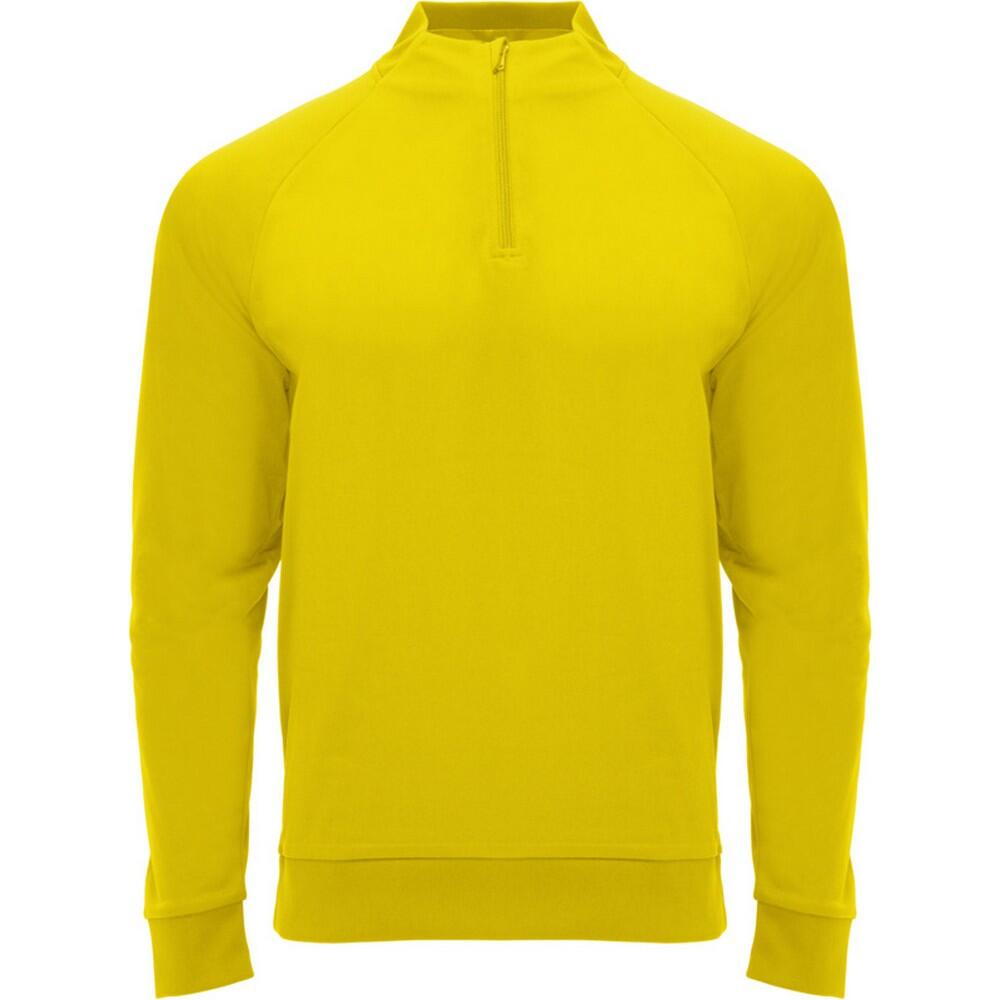 ROLY Unisex Adult Epiro Quarter Zip LongSleeved Sweatshirt (Yellow)