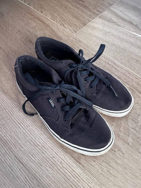 VANS picture