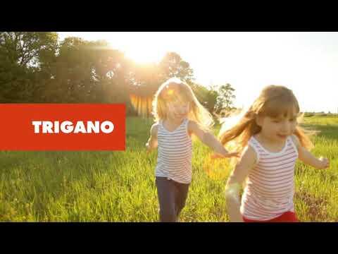 Portique bois-métal avec 2 balançoires + 1 échelle de corde + 1 plateforme avec 4/7