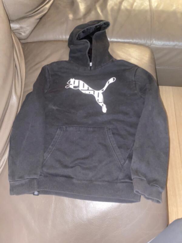 PUMA picture