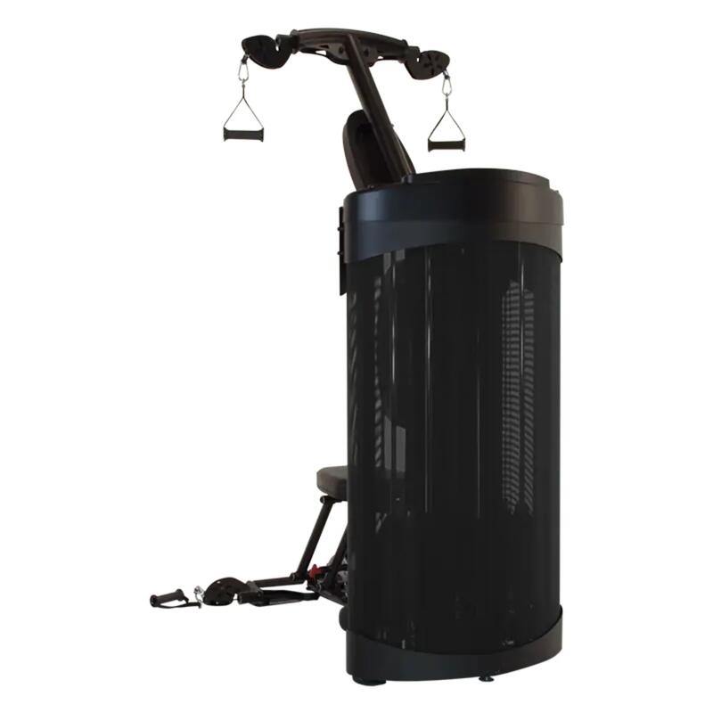 Przyrząd do ćwiczeń Inspire DUAL Station Biceps + Triceps
