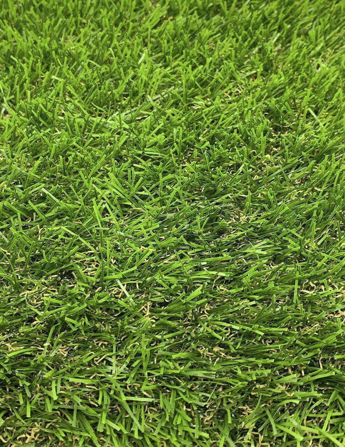 JARDIN202 - Césped Artificial Sport DELUXE Halterofi 2/4