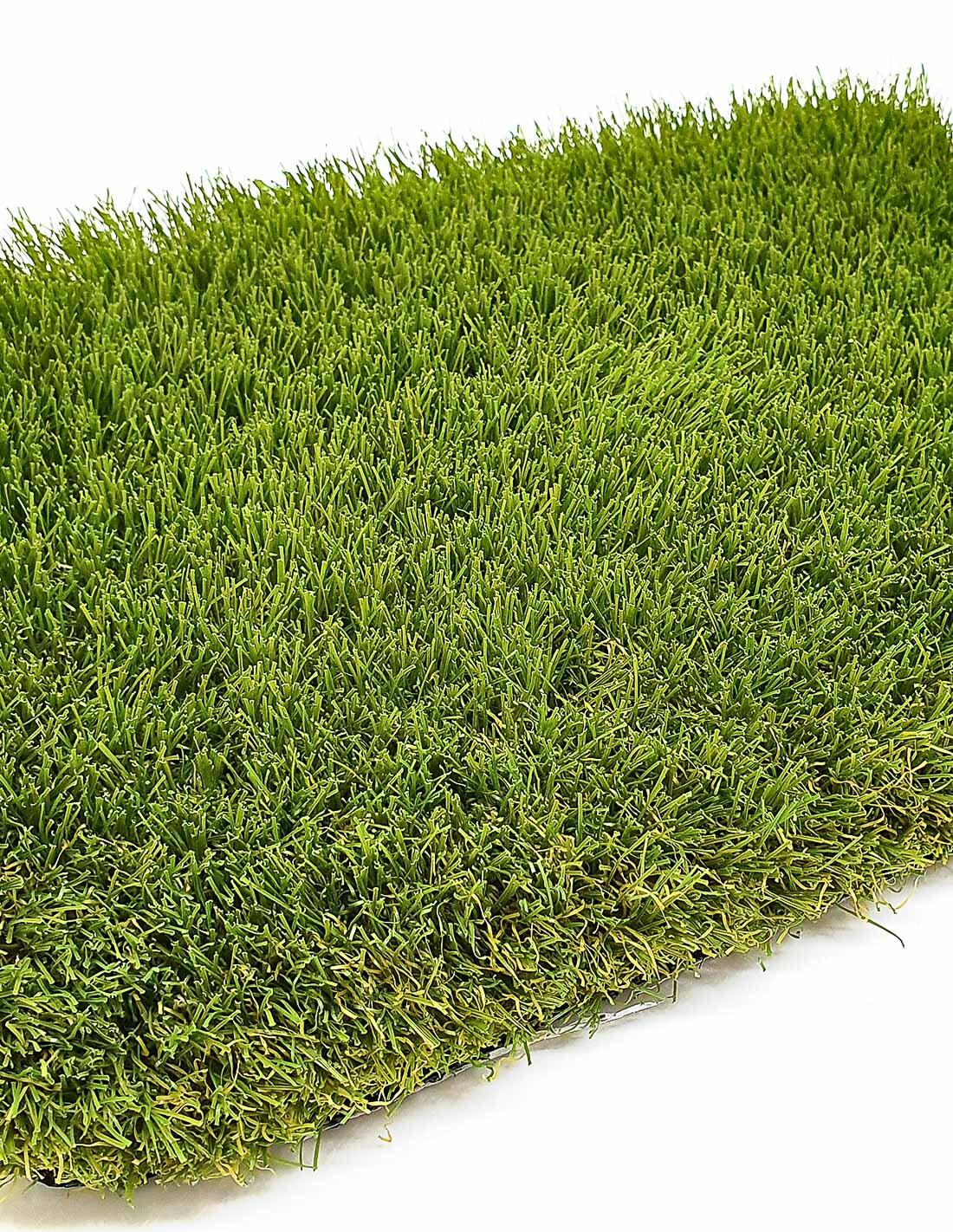 JARDIN202 picture