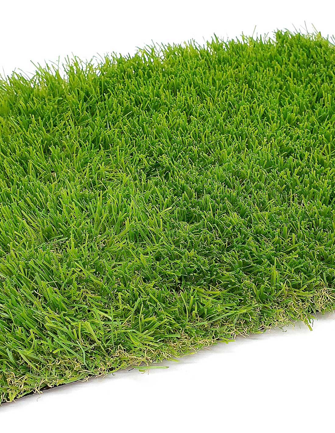 JARDIN202 picture