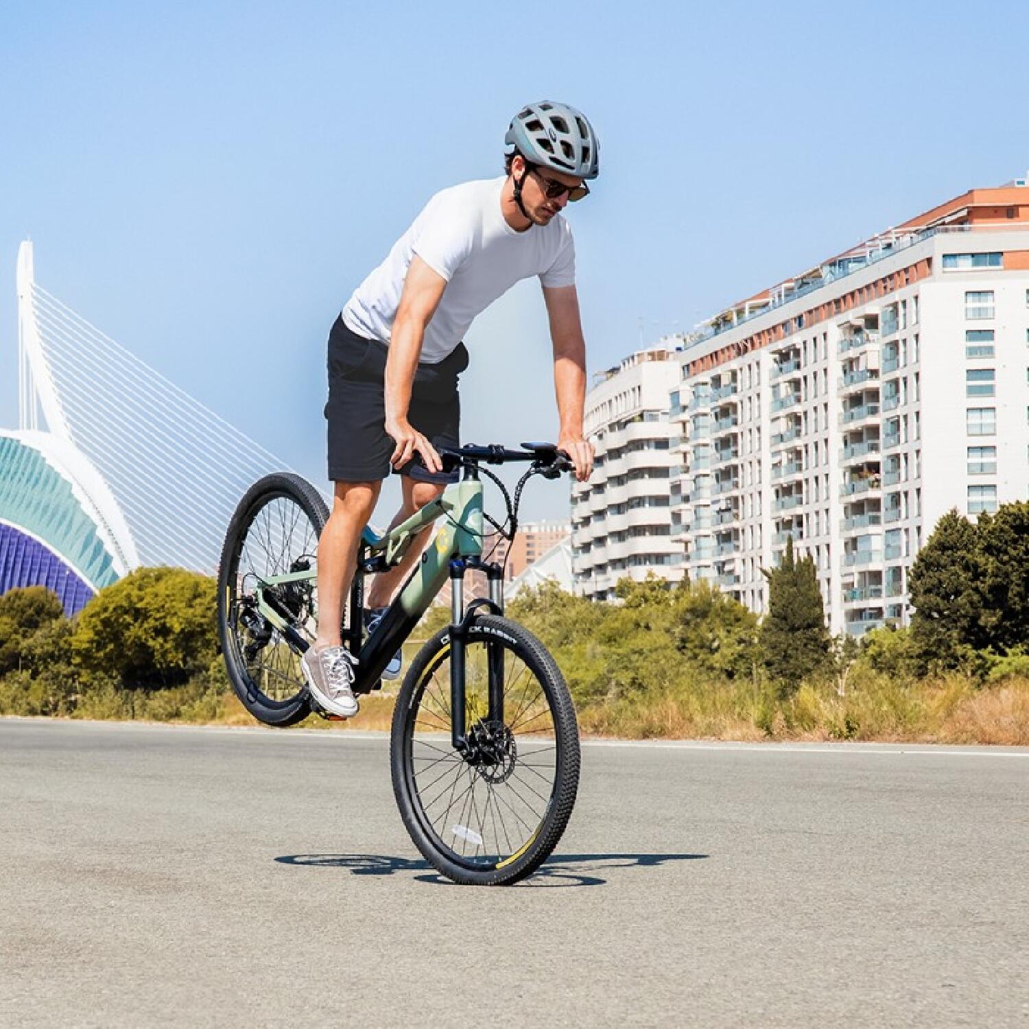 Cecotec Vélo électrique Mountain Millor 7/7