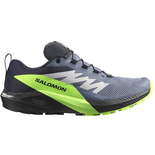 Buty do biegania męskie Salomon Sense Ride 5 Gtx 2/5