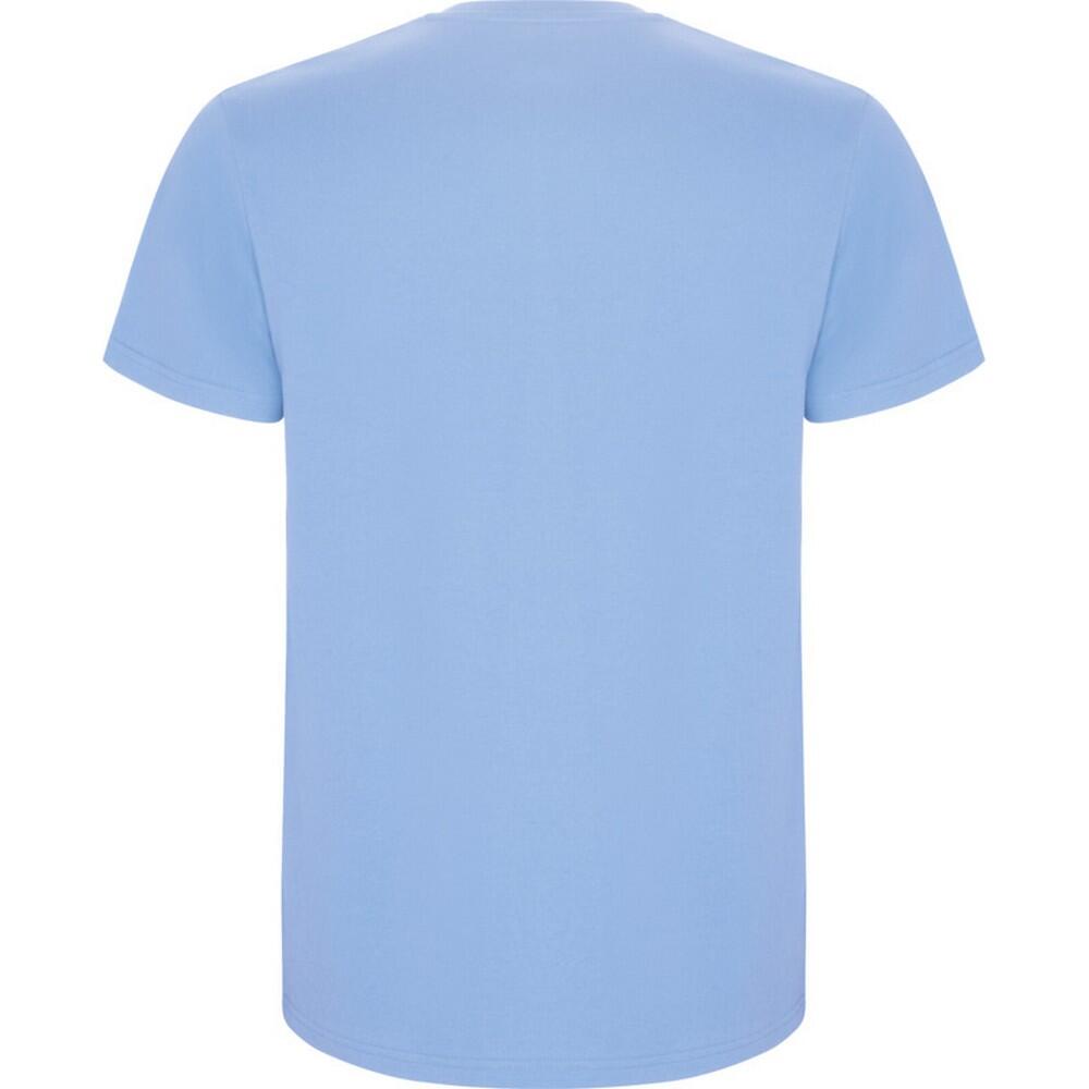Heren Stafford TShirt (Hemelsblauw) 2/4