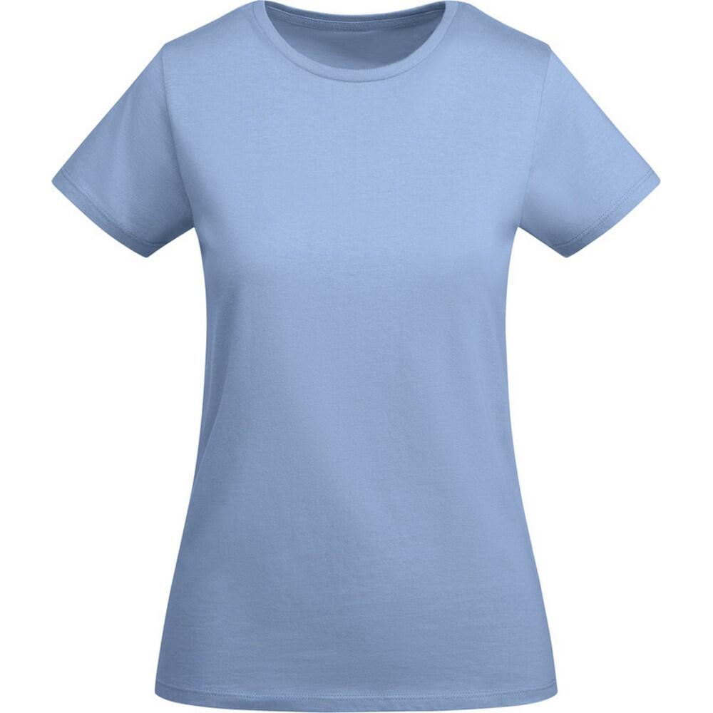 cornflower blue