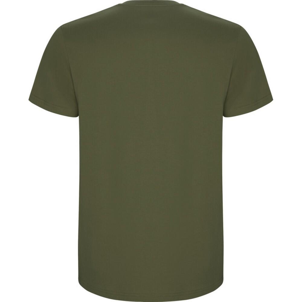 Tshirt STAFFORD Homme (Vert Kaki) 2/4