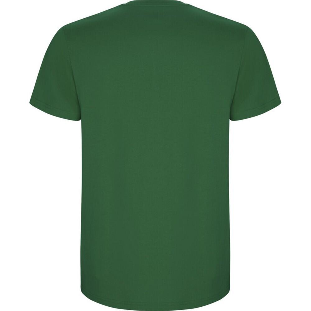 Tshirt STAFFORD Homme (Vert Kelly) 2/4