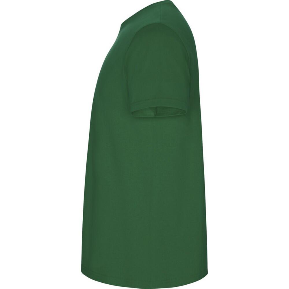 Tshirt STAFFORD Homme (Vert Kelly) 3/4