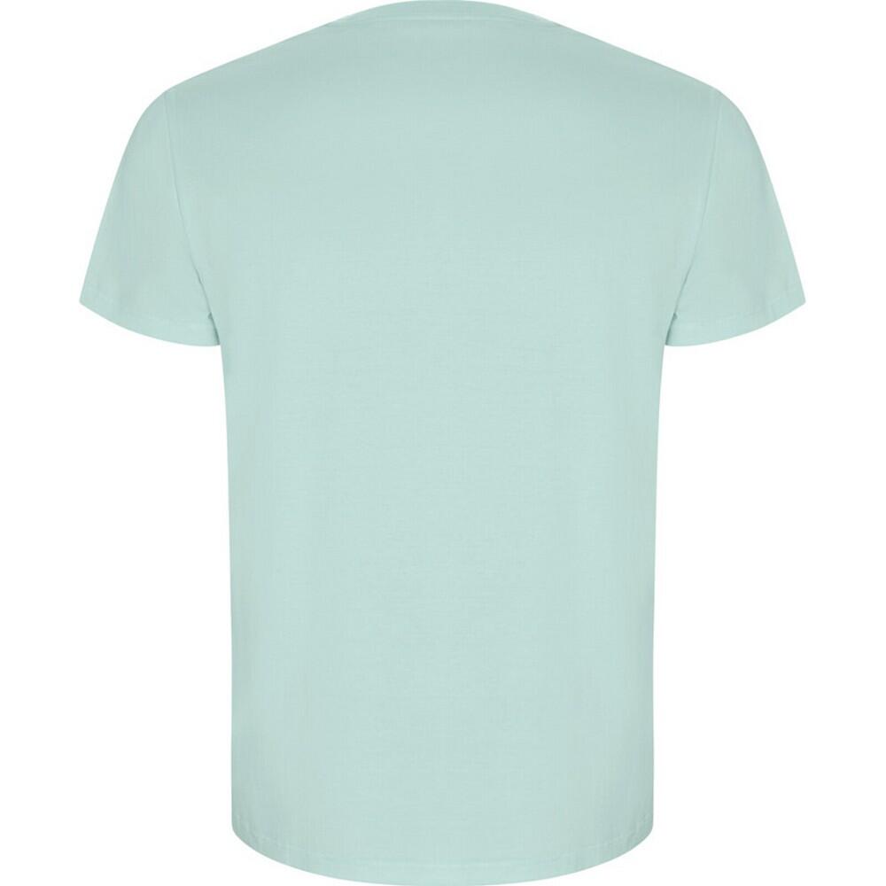 Tshirt GOLDEN Homme (Menthe) 2/3