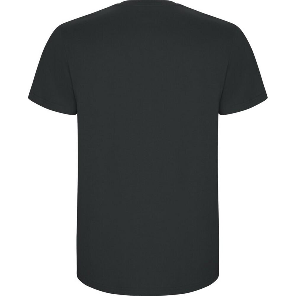 Tshirt STAFFORD Homme (Anthracite) 2/4