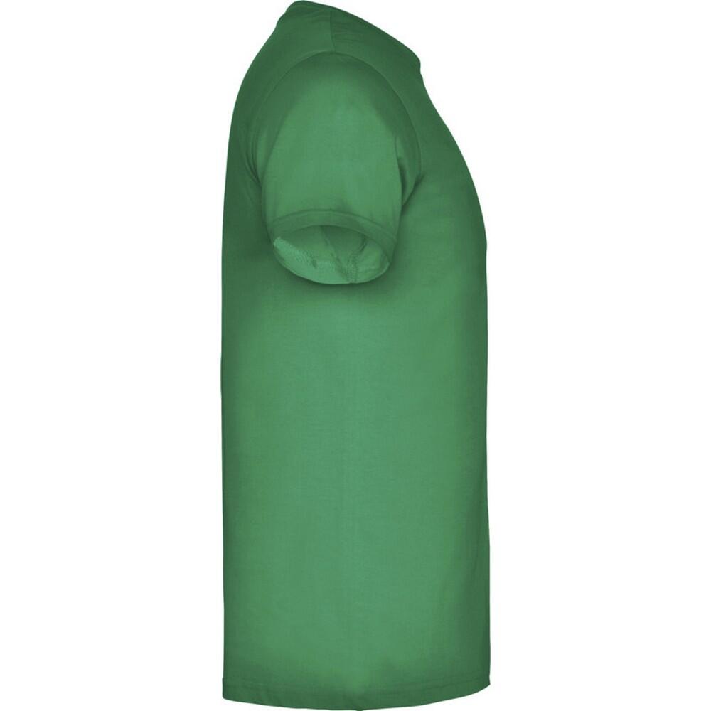 Tshirt BEAGLE Homme (Vert Kelly) 3/4