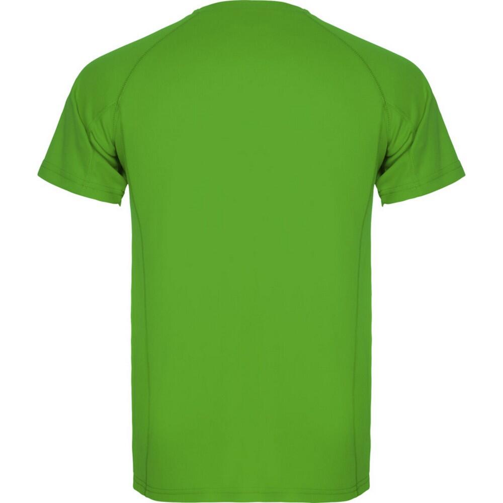 Tshirt MONTECARLO Homme (Vert Sombre) 2/4
