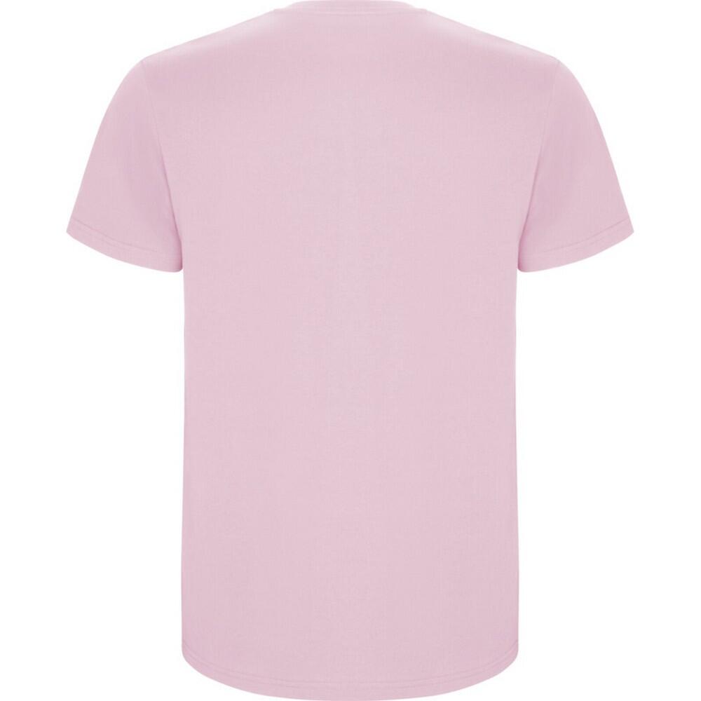Tshirt STAFFORD Homme (Rose Clair) 2/4