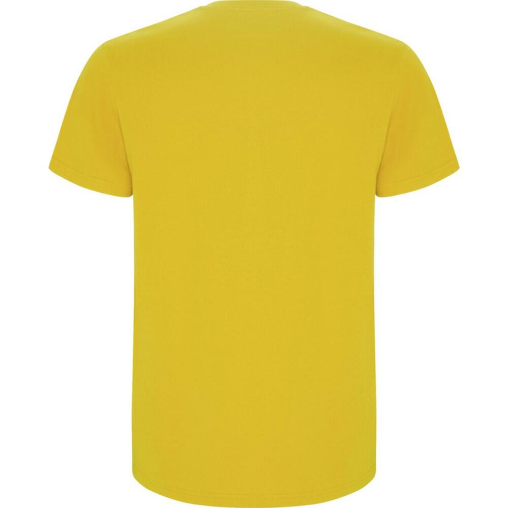 Tshirt STAFFORD Homme (Jaune) 2/4