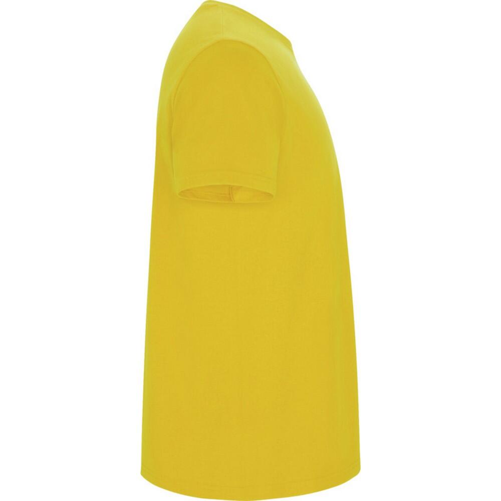 Tshirt STAFFORD Homme (Jaune) 4/4