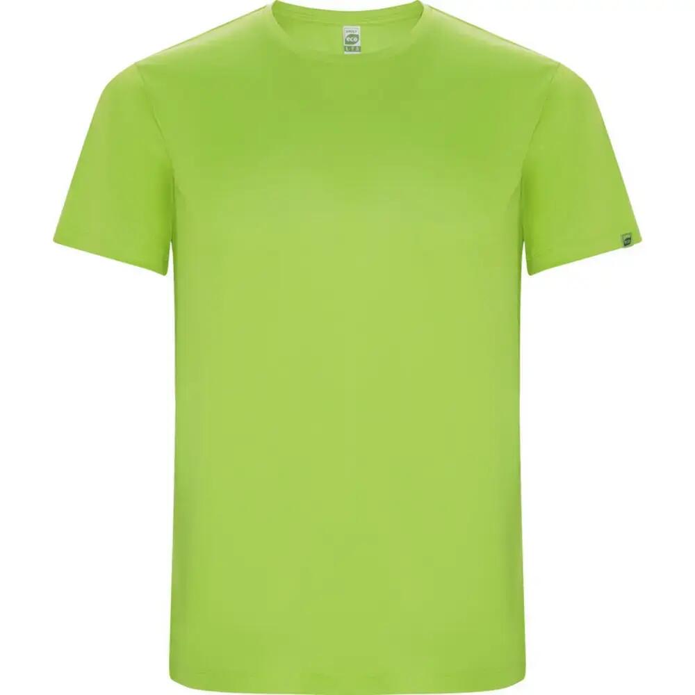 GREEN / GREY