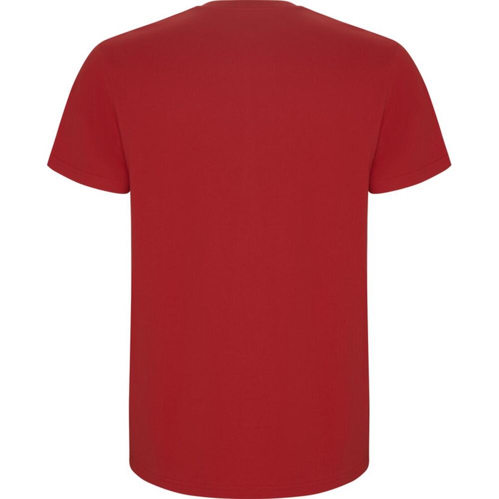 Tshirt STAFFORD Homme (Rouge) 2/4