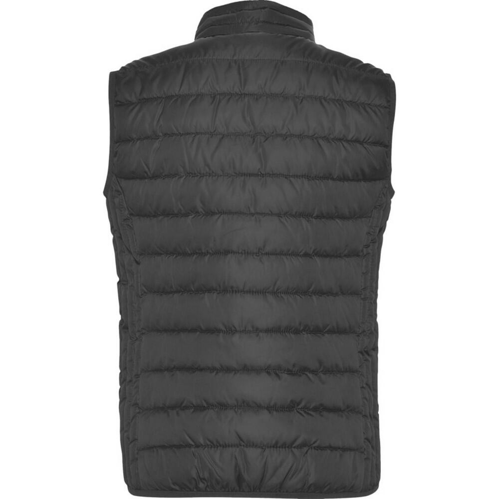 Dames Oslo geïsoleerde bodywarmer (Ebbenhout) 2/4