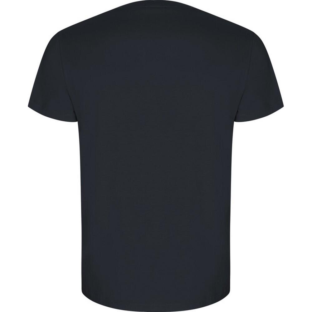 Mens Golden Plain ShortSleeved TShirt (Ebony) 2/3