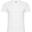 Tshirt SAMOYEDO Homme (Blanc)