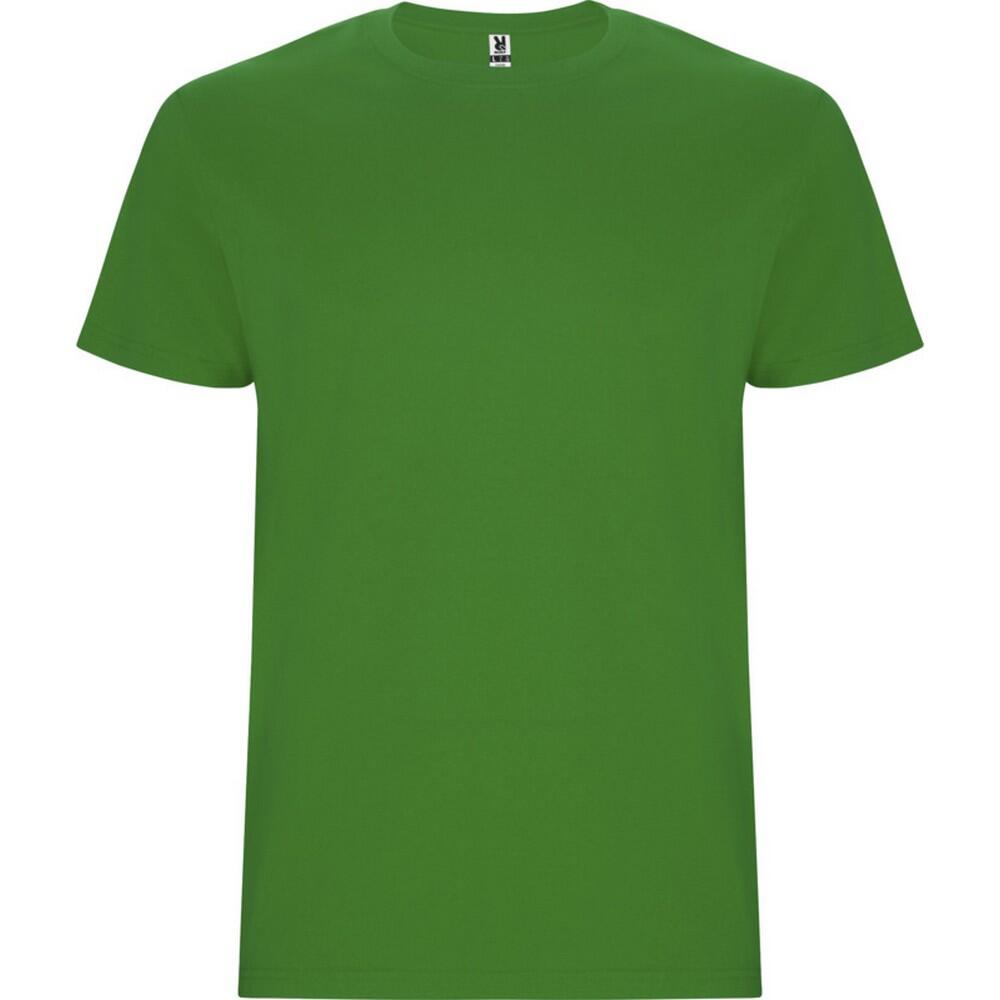 Roly - Tshirt Stafford Homme (vert Gazon) - T-shirt Manches Courtes - Vert - 56 3xl - Decathlon