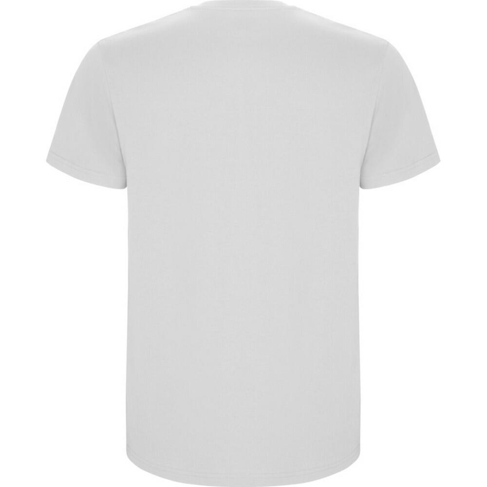 Tshirt STAFFORD Homme (Blanc) 2/4