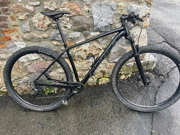 Entre Particuliers - VTT ORBEA taille L 2/5