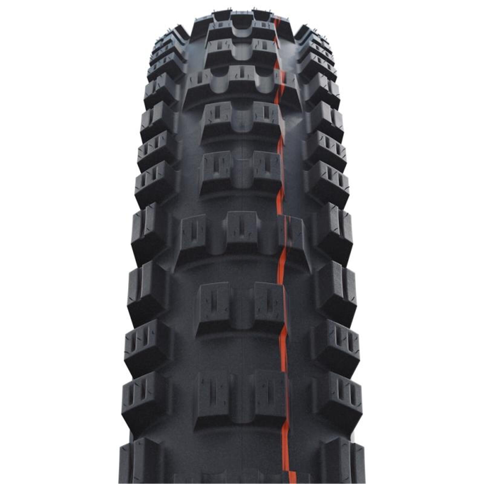 SCHWALBE picture