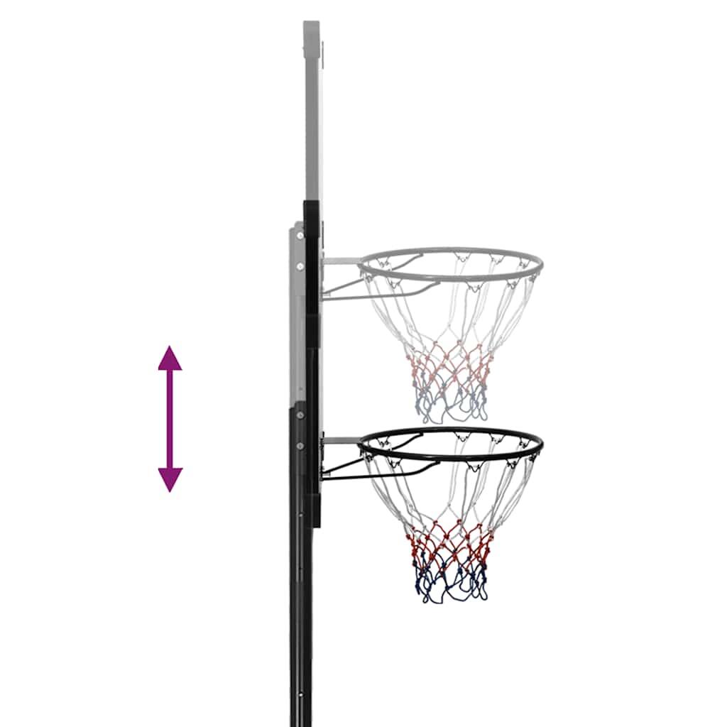Canasta de baloncesto policarbonato transparente 256-361 cm 5/6