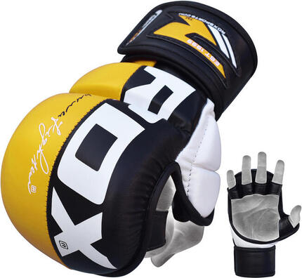T6 MMA Handschühe - Blau - L