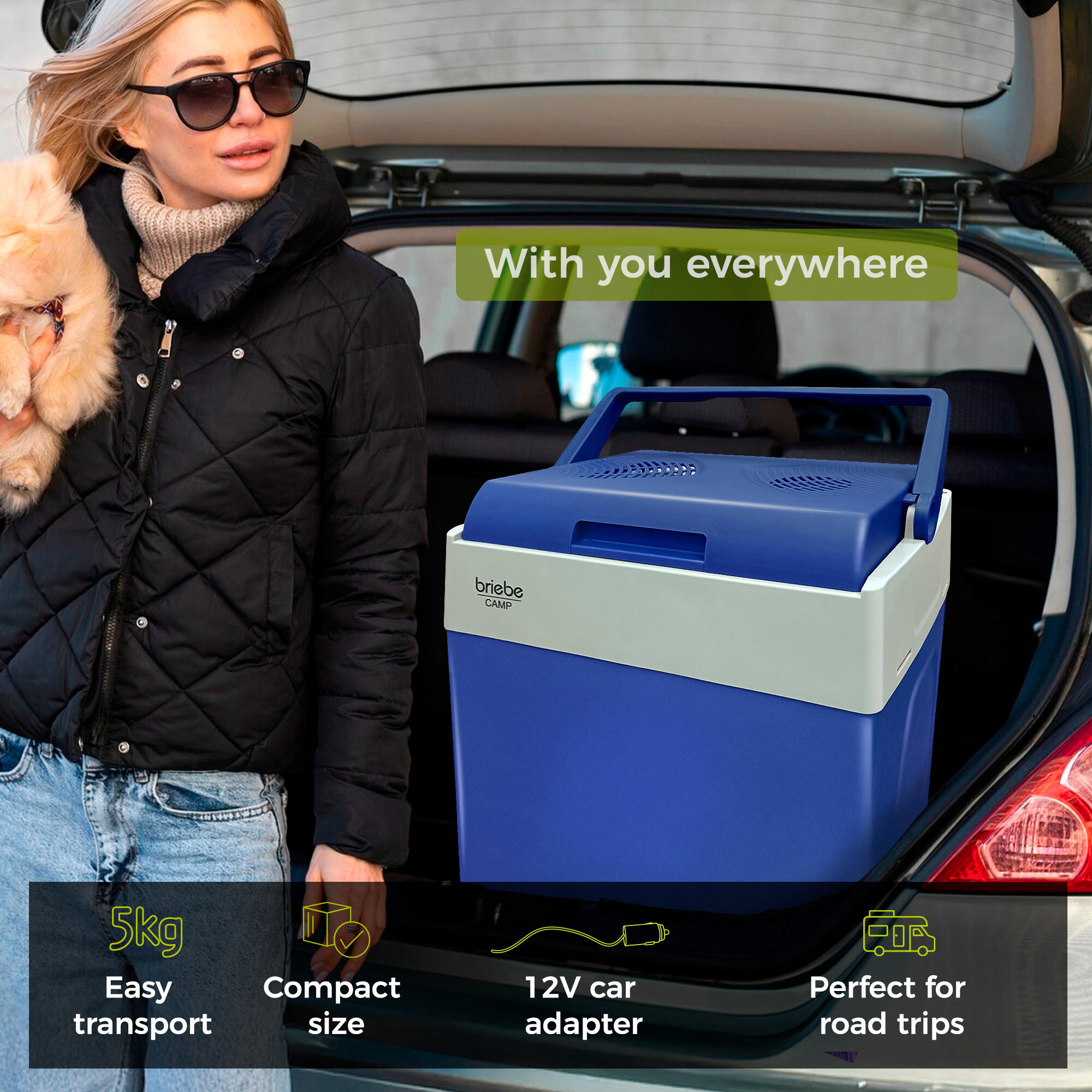 Réfrigérateur Portable Électrique 28L, Camping et Voiture 12V/220V Camper briebe 7/7